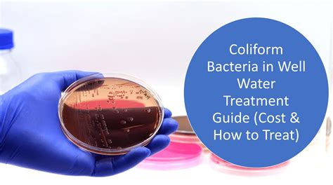 positive coliform in well water